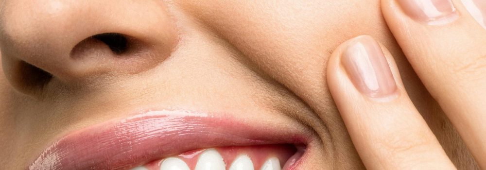 Tipos de dientes y sus funciones específicas