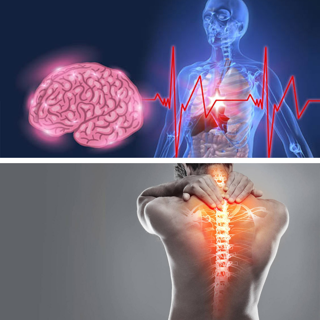 medicina integrativa PNIE en Roquetes